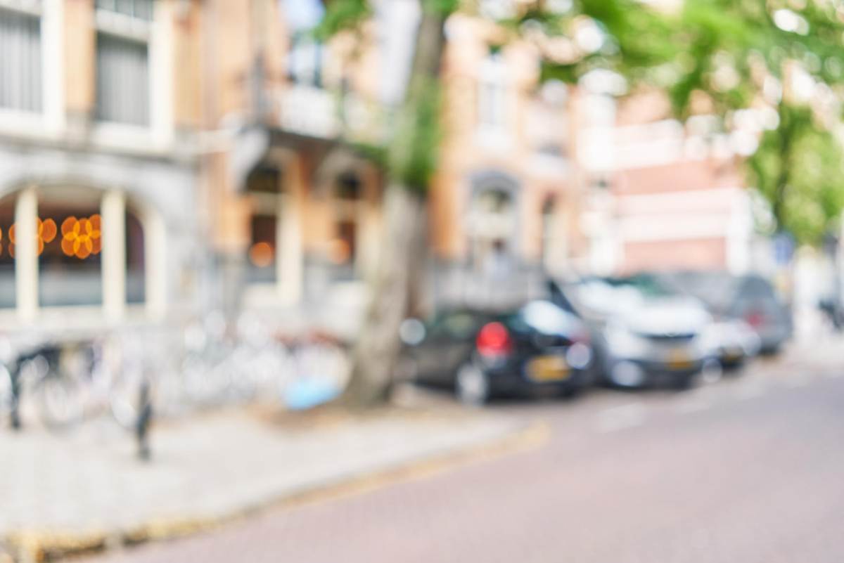 De 19 beste hondentrimsalons in Amsterdam