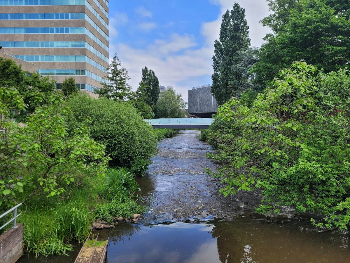 De 6 beste hondentrimsalons in Eindhoven