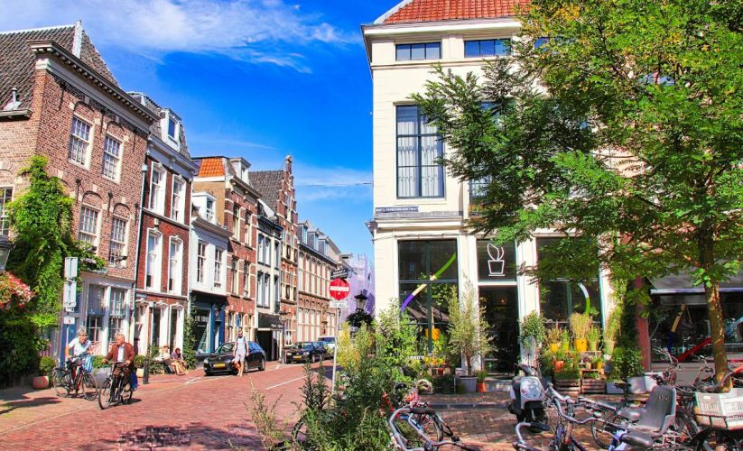 De 4 beste hondentrimsalons in Utrecht