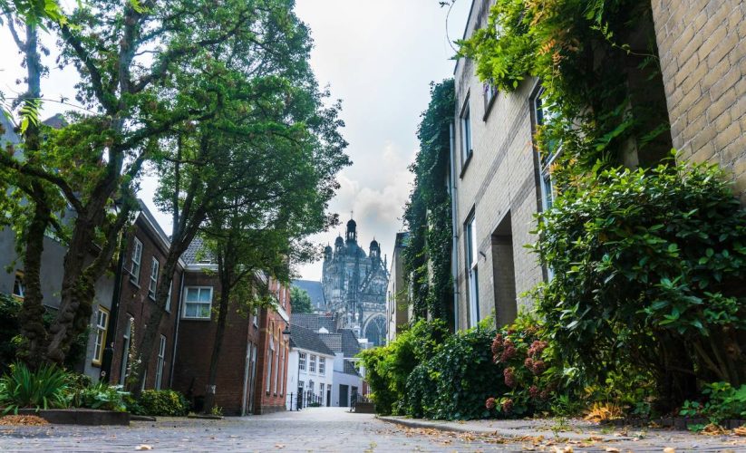 De 5 beste hondentrimsalons in Den Bosch